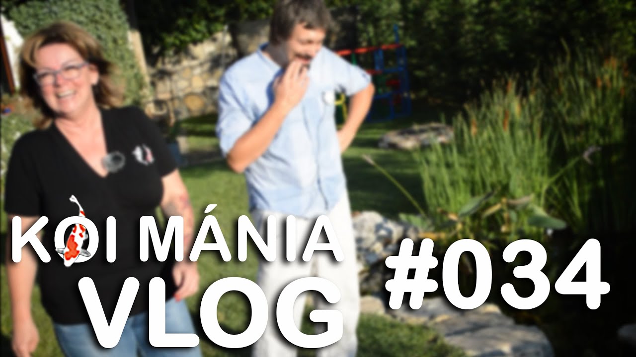 Veszprémi tó kilátással a Várra | Koi Mánia VLOG#034