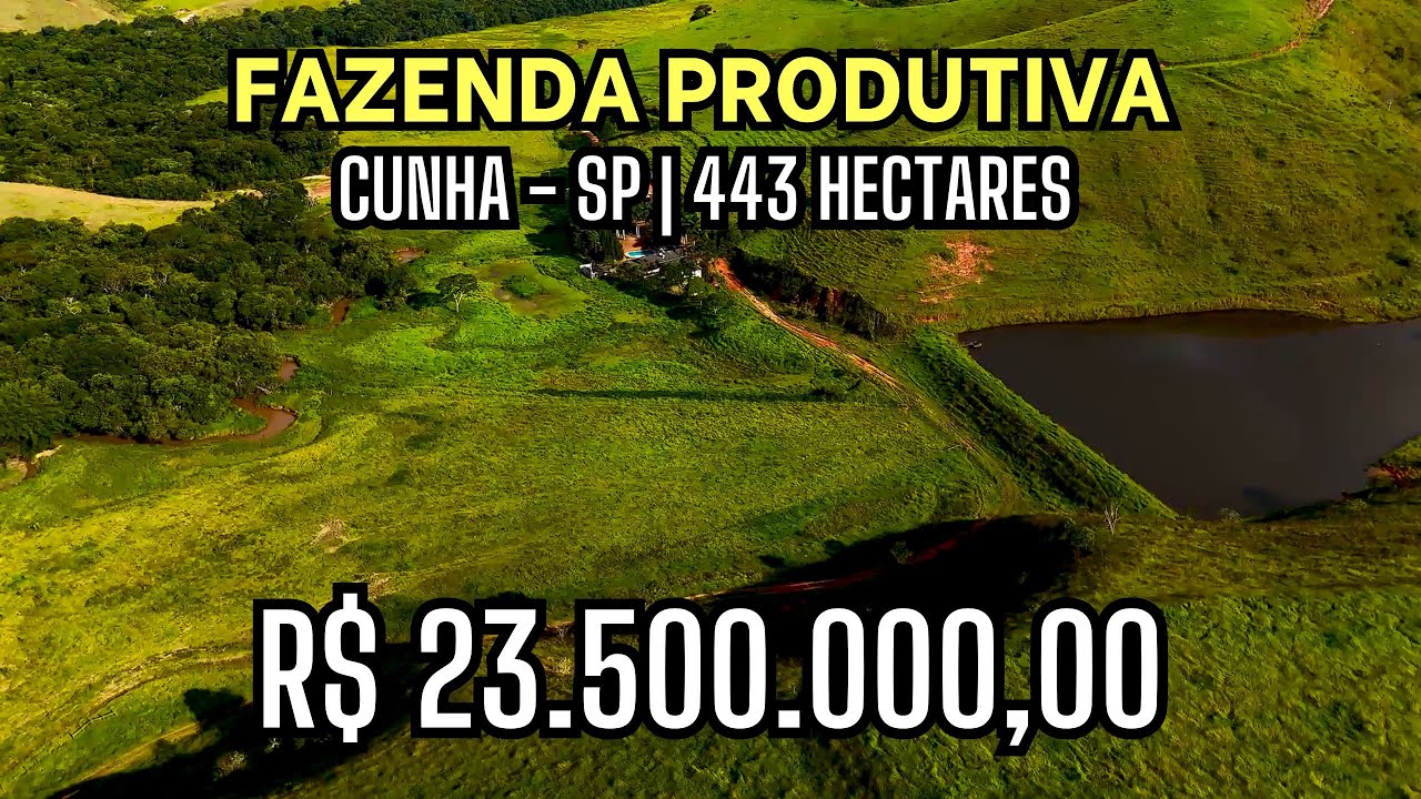 FAZENDA COMPLETA à Venda em Cunha SP |  Gado de Corte, Riqueza Natural e Infraestrutura