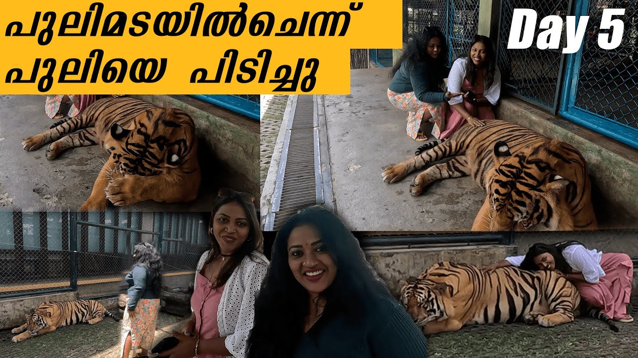 പുലിമടയിൽചെന്ന് പുലിയെ  പിടിച്ചു | Manju Pathrose I Simi Sabu I  Blackies Vlog