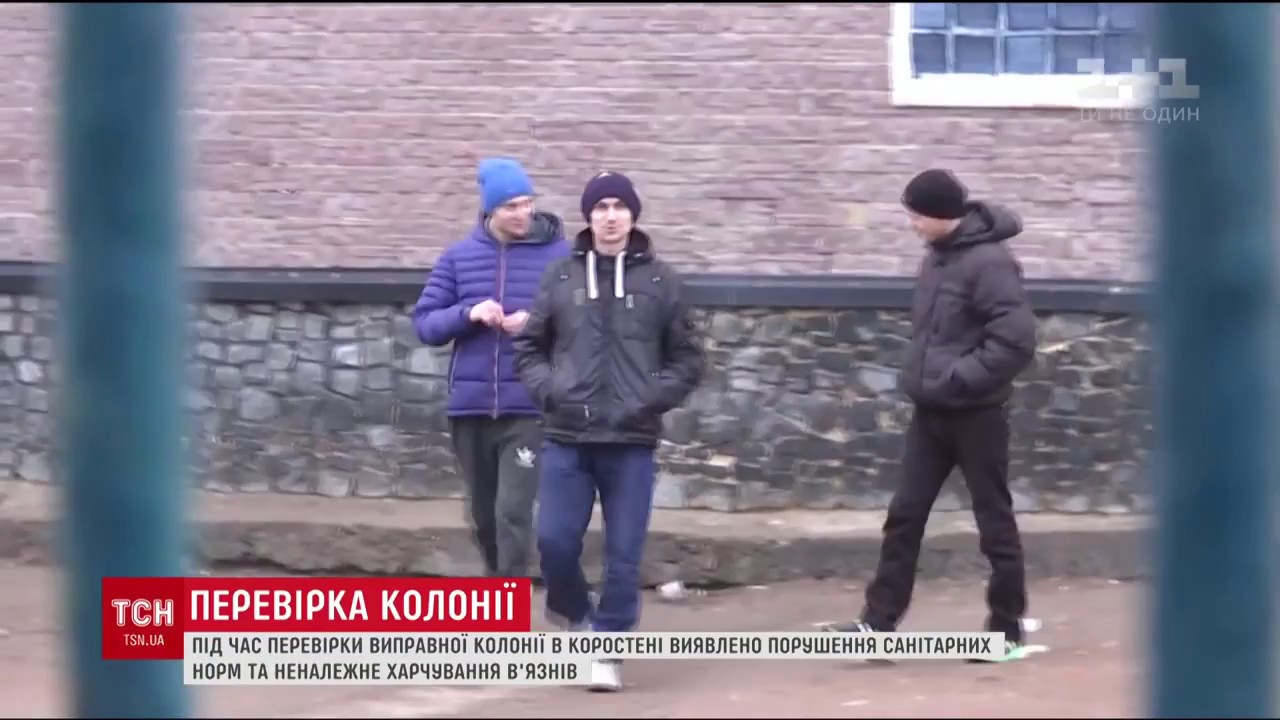 Реалії виживання в'язнів у колонії на Житомирщині!