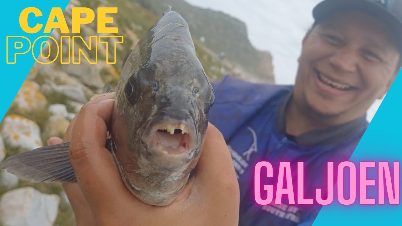 Closing the Galjoen season with a bang!
