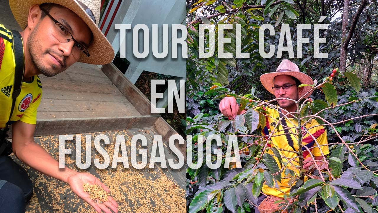 Tour del Café en la Hacienda Coloma - Fusagasuga