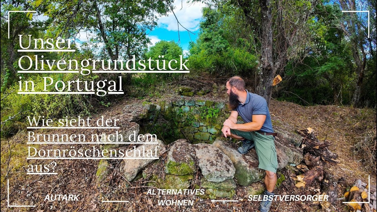 Unser Olivengrundstück in Portugal // Ein schöner Brunnen kommt zum Vorschein