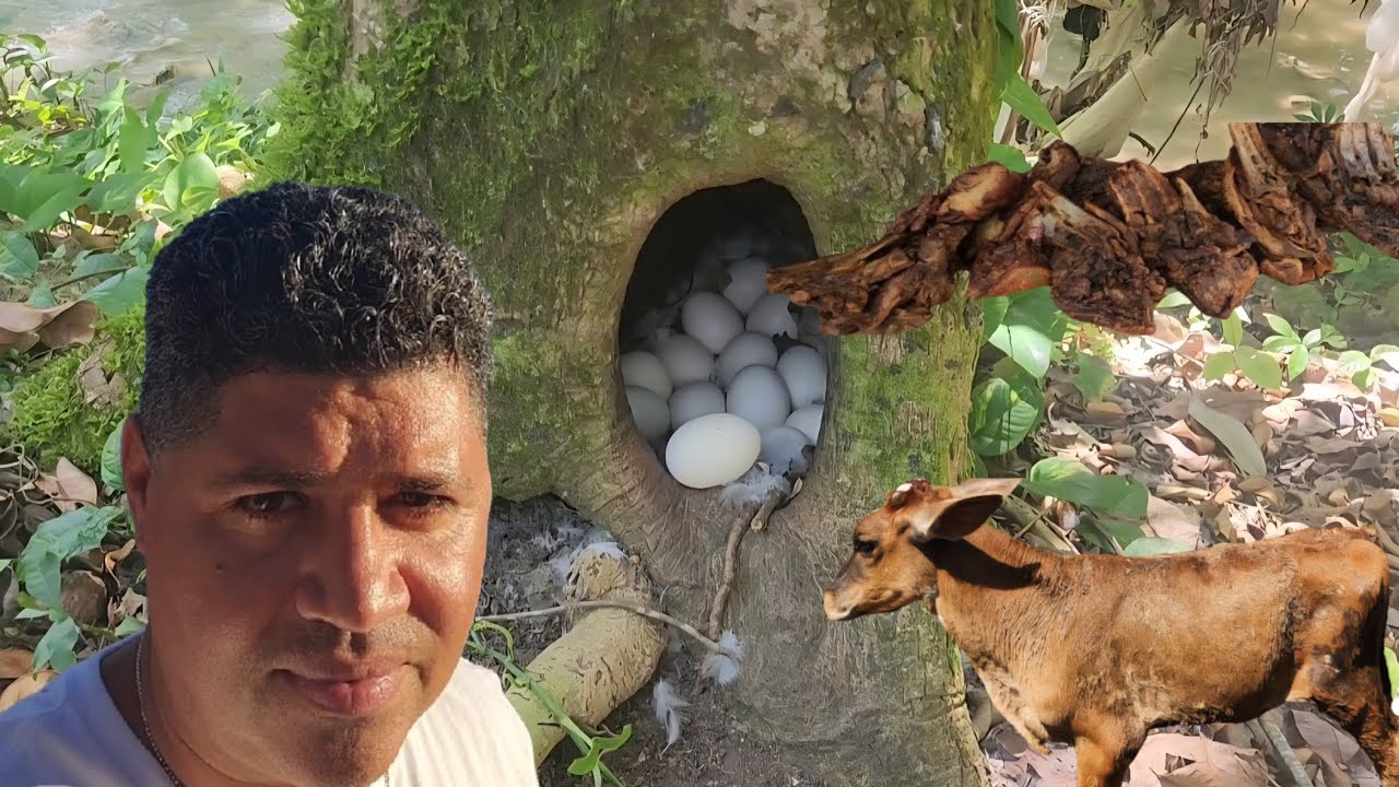 Un Campo de Republica Dominicana | Te sorprenderas!!