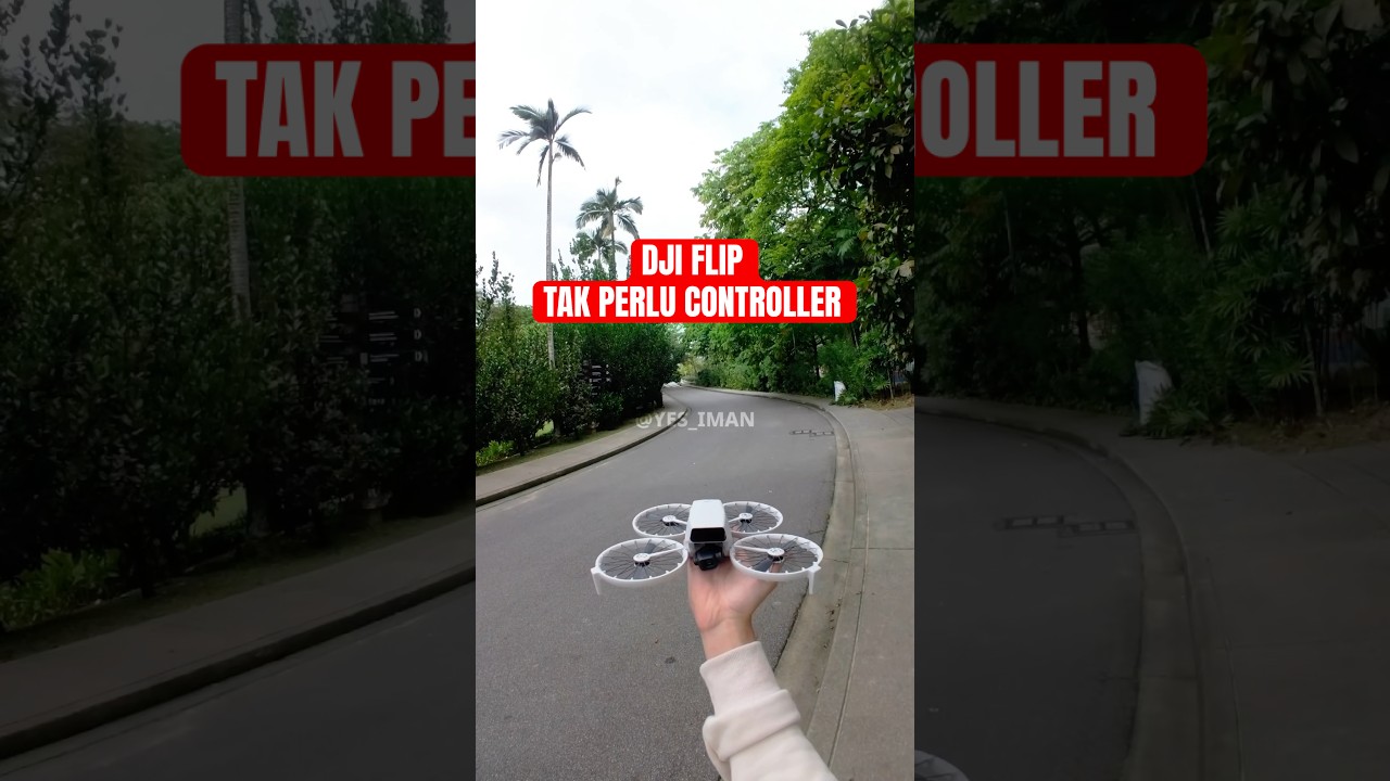 DJI FLIP