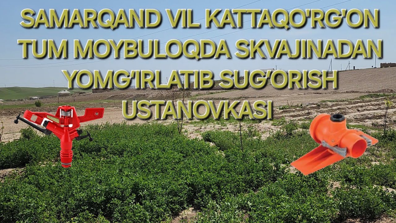 SAMARQAND VIL KATTAQO'RG'ON TUM MOYBULOQDA SKVAJINADAN YOMG‘IRLATIB SUG‘ORISH. #yomgirlatib #akona