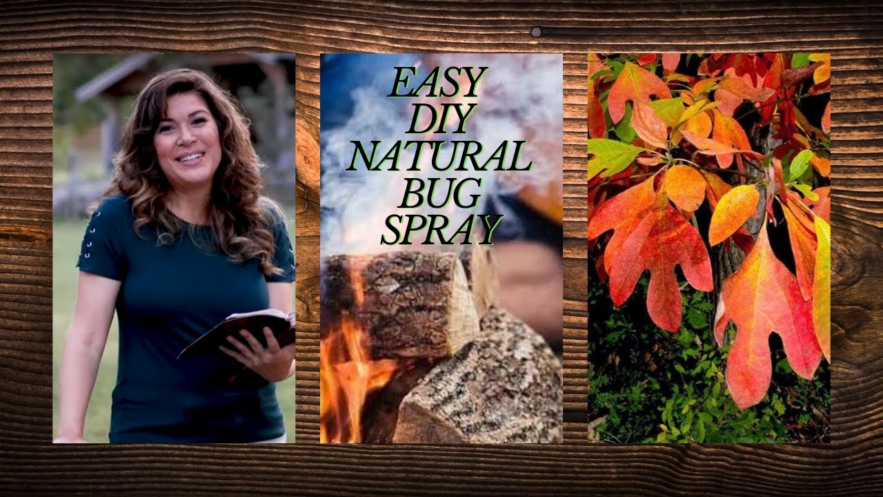 All Natural DIY Bug Repellent Spray ...and a Few Smart Bug Repelling Hacks