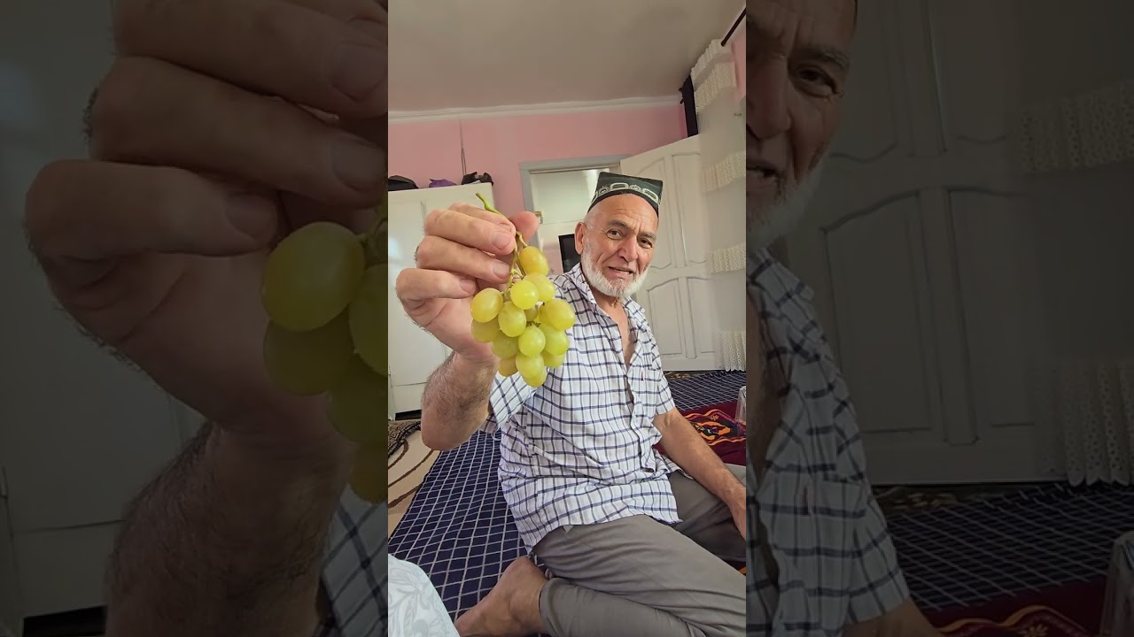 +992909883641.Навъҳои ангур дар ҳавлии акаи Абдулло.