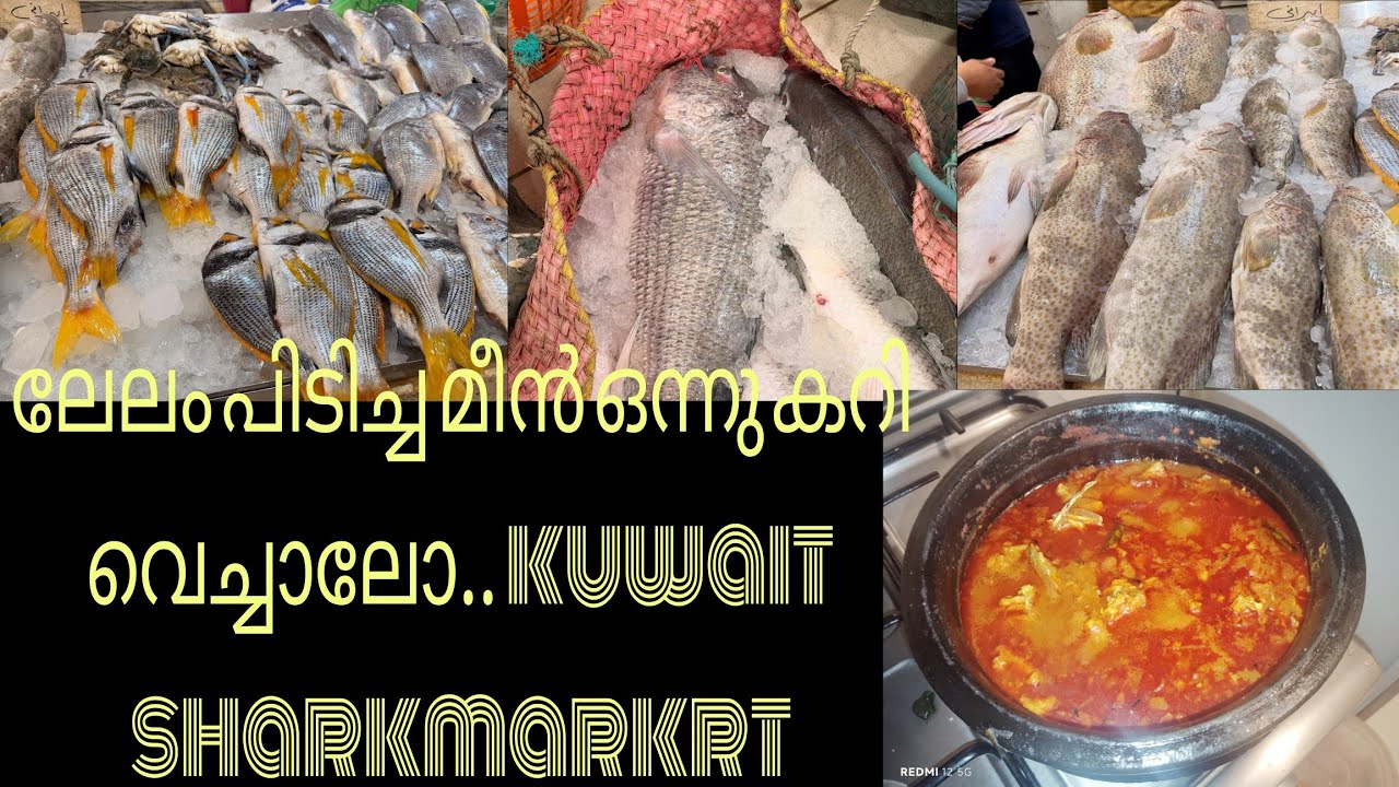 കുവൈറ്റിലെ ഫിഷ് ലേലം കണ്ടാലോ//കുവൈറ്റ്‌ sharkmarket #kuwait 