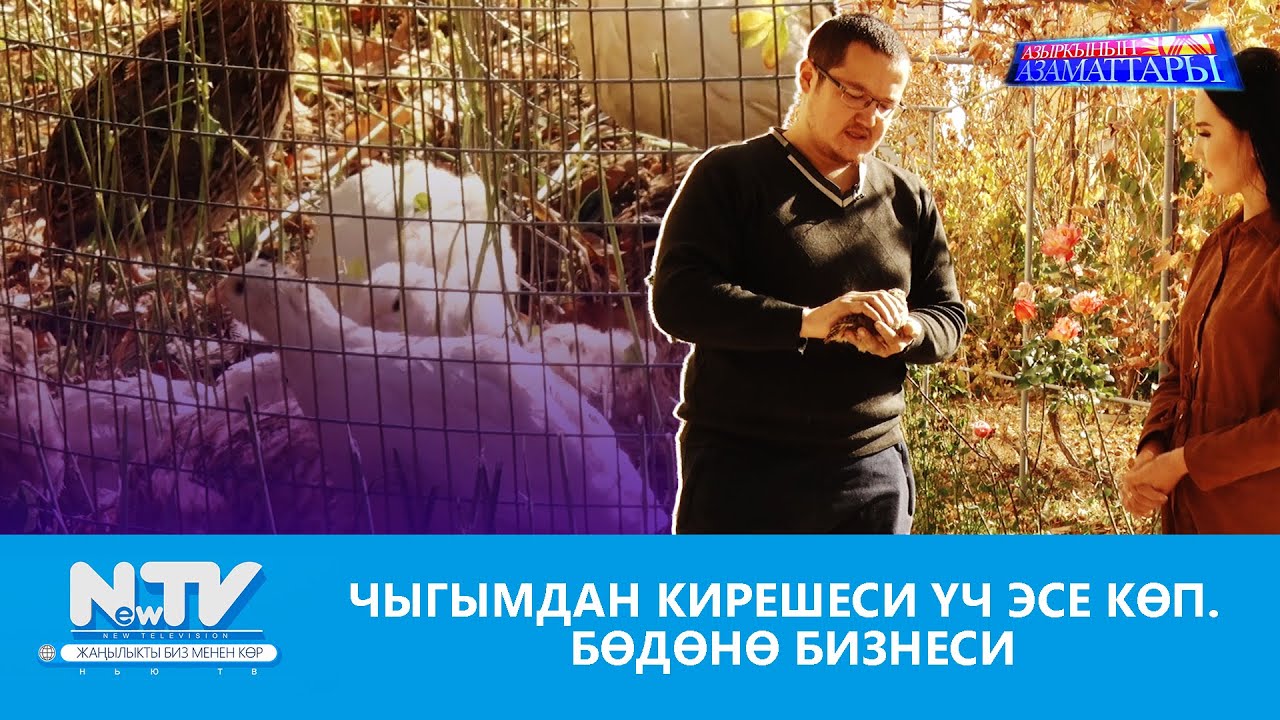 NewTV// ЧЫГЫМДАН КИРЕШЕСИ ҮЧ ЭСЕ КӨП. БӨДӨНӨ БИЗНЕСИ // АЗЫРКЫНЫН АЗАМАТТАРЫ