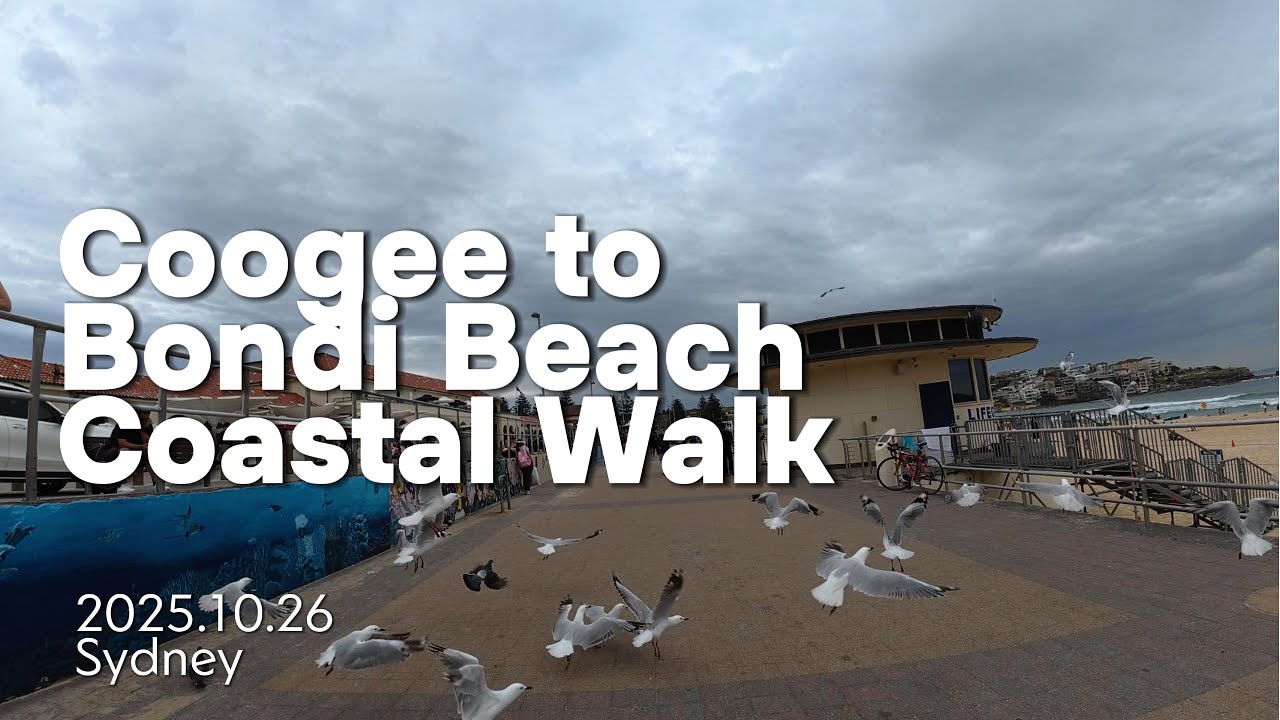 Coogee to Bondi Beach - Coastal Walk 2025.10.26