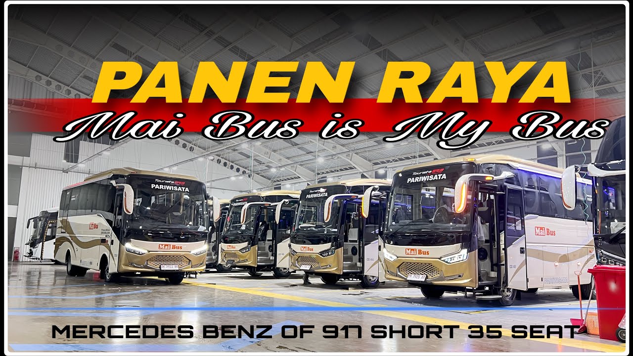 GOKIL‼️ Satu PO Panen Bus Baru, Mai Bus MERCY OF 917 Short FULL PARIWISATA 