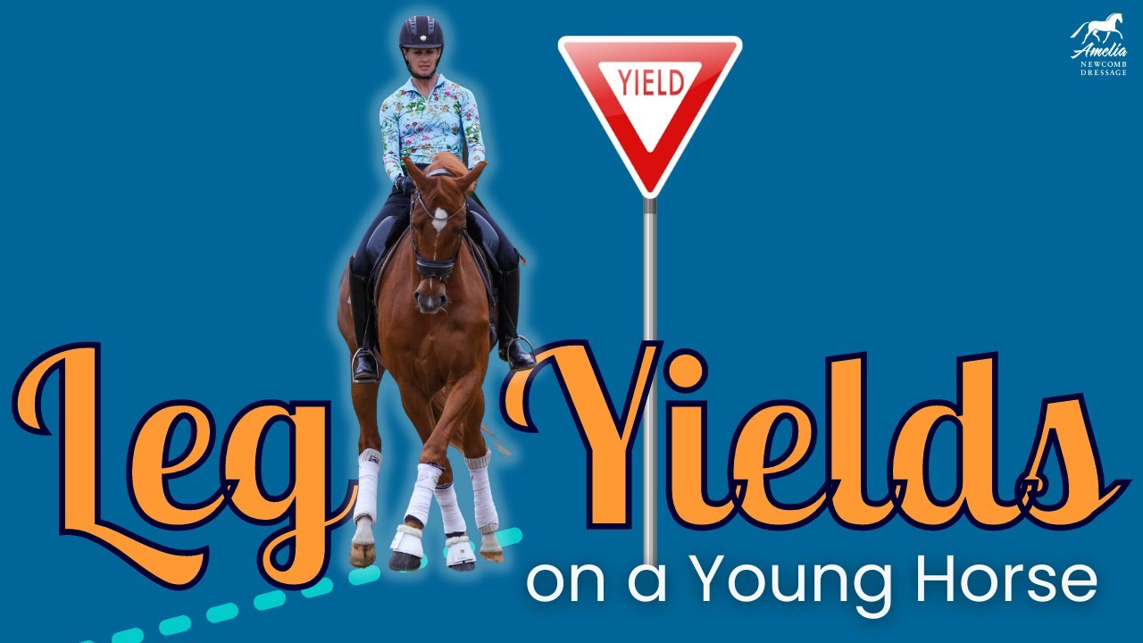 Teaching Leg-Yields on a Young Horse