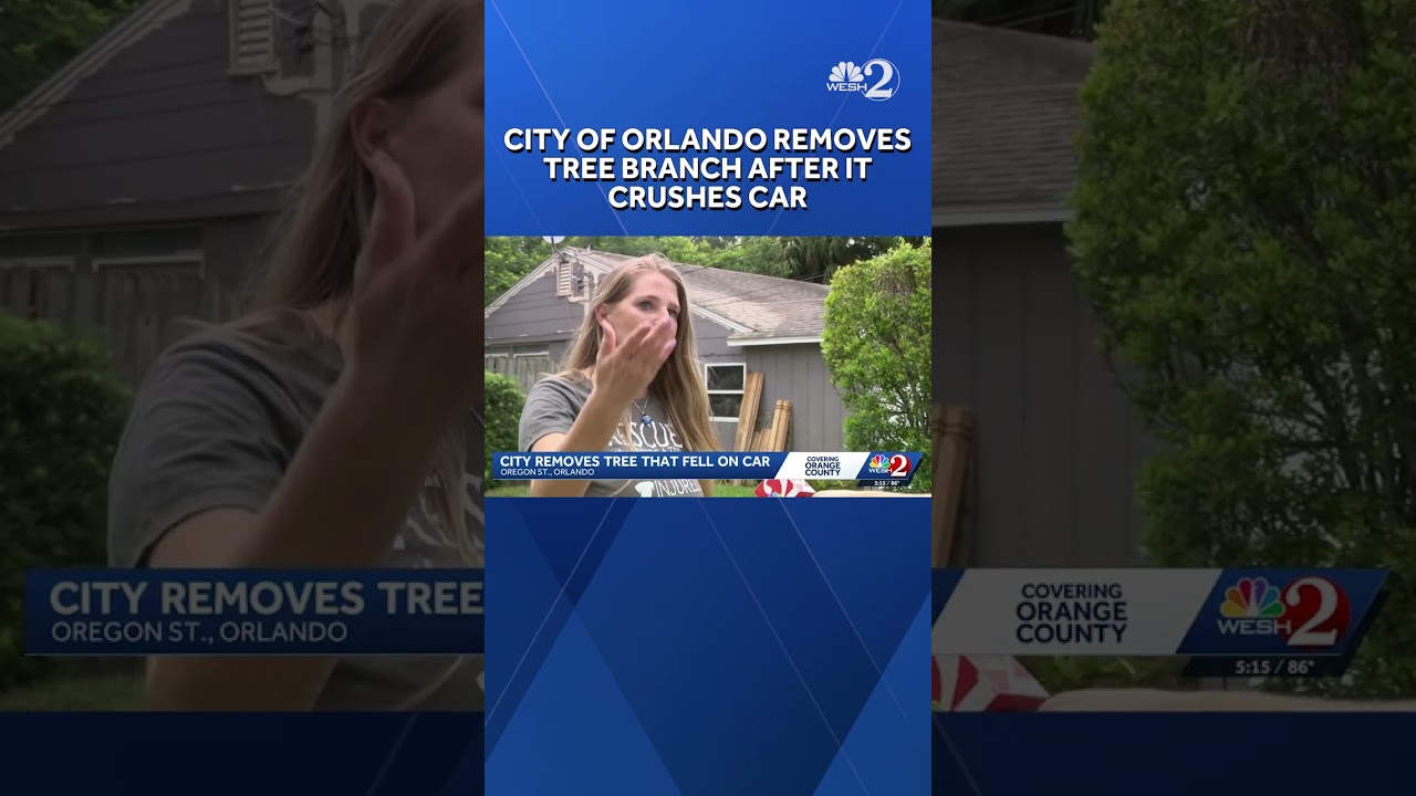 City of Orlando removes rotting tree branch after it fell on car