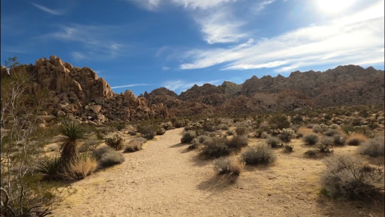 Indian Cove Nature Trail Loop Hike in Joshua Tree National Park