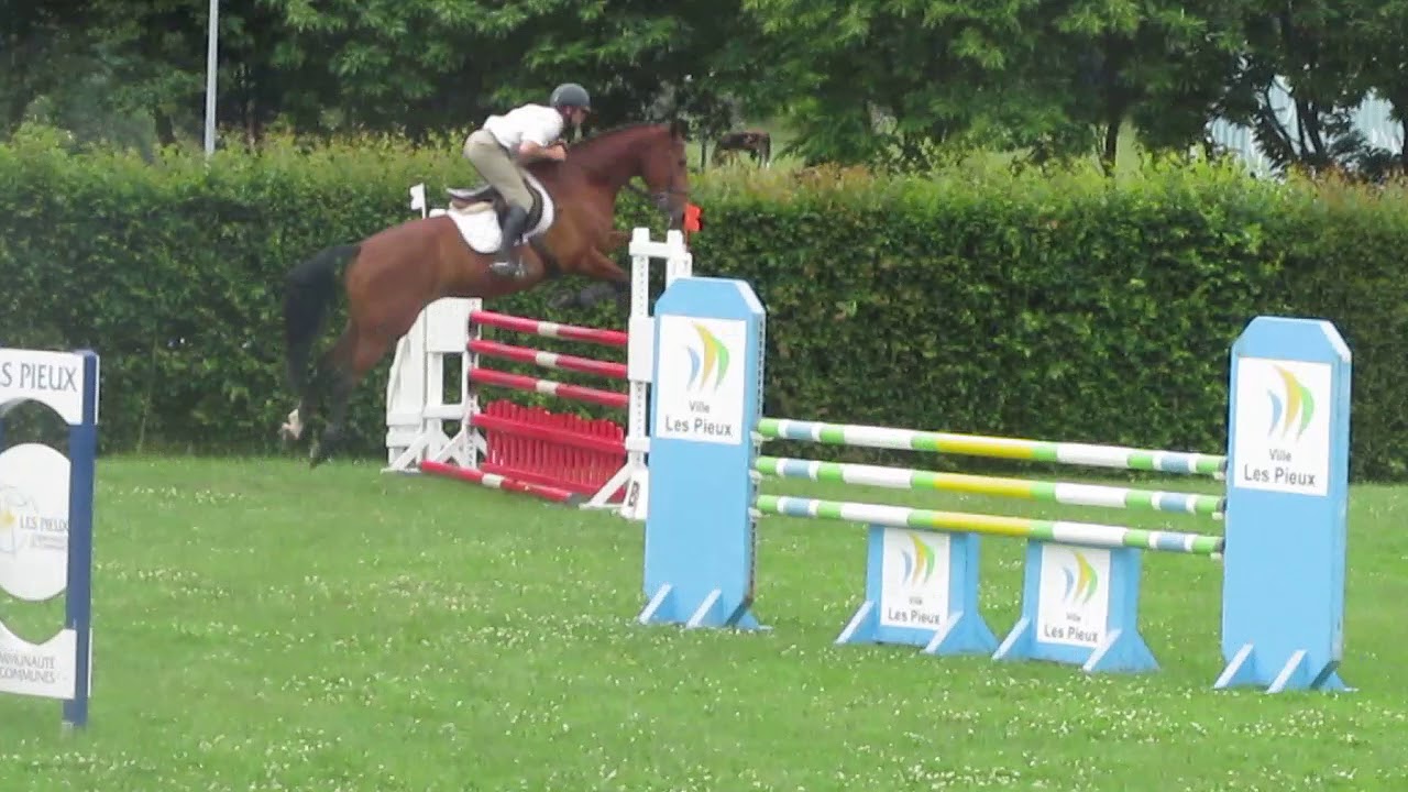 cheftaine les pieux