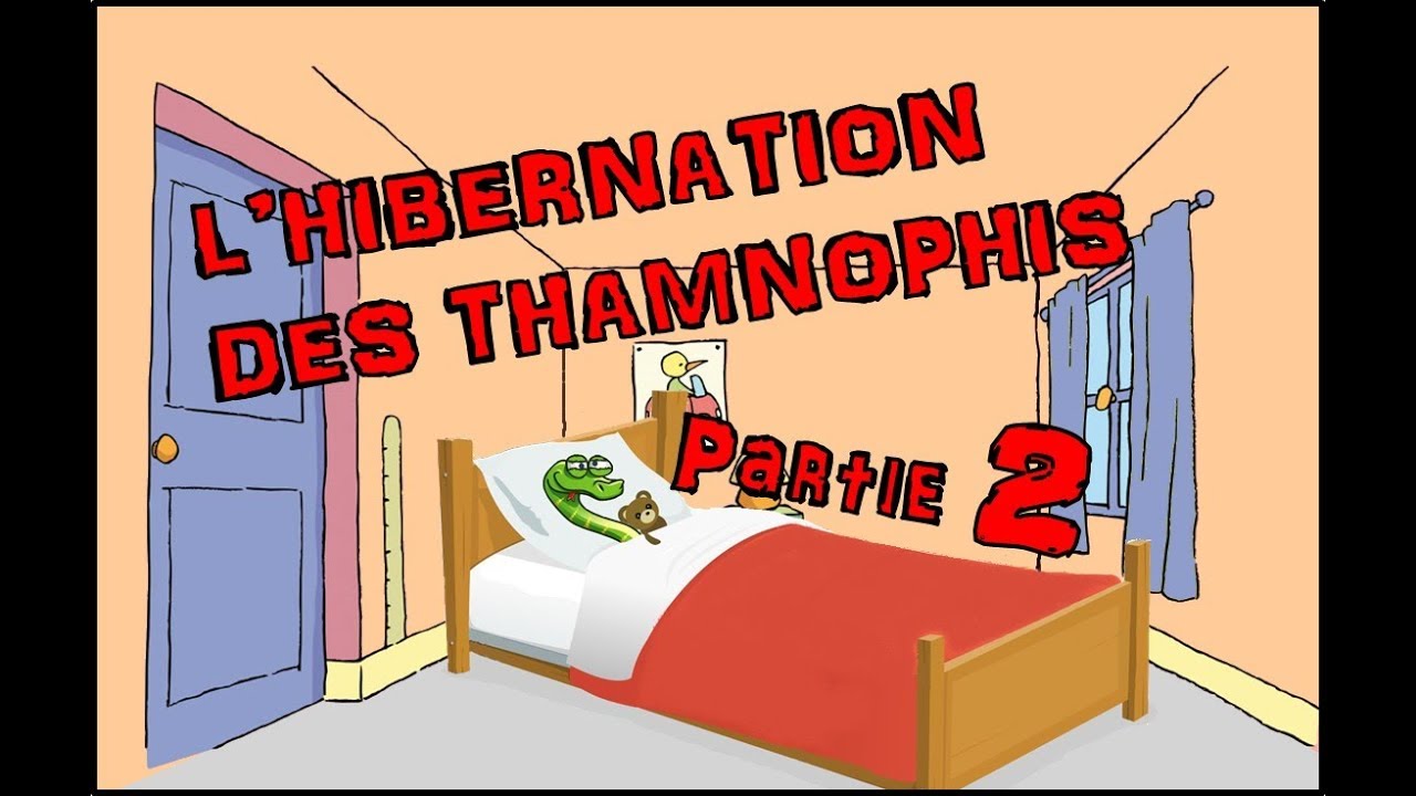L'hibernation des thamnophis / Episode 2 - La mise en hibernation