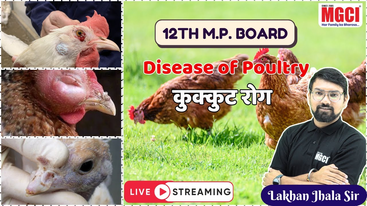 12th MP Board Live Class for Agri. Students :: Animal Husbandry :: Poultry Diseases