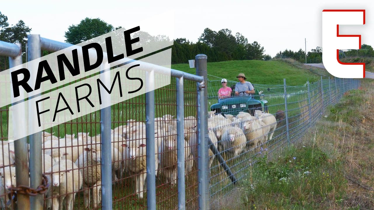 The Little Farm Bringing Lamb To The World &mdash; Southern Foodways Alliance