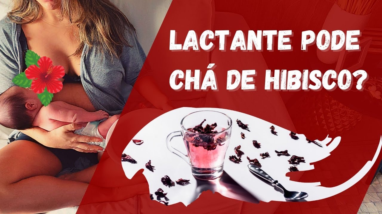CHÁ DE HIBISCO NA AMAMENTAÇÃO.  Pode ou não pode?