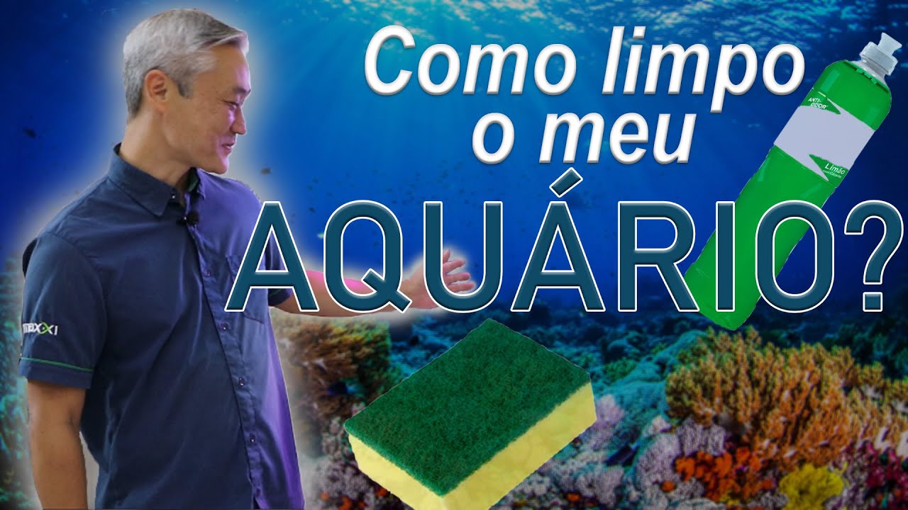 É ASSIM QUE SE CUIDA DE UM AQUARIO! - GUIA DE LIMPEZA