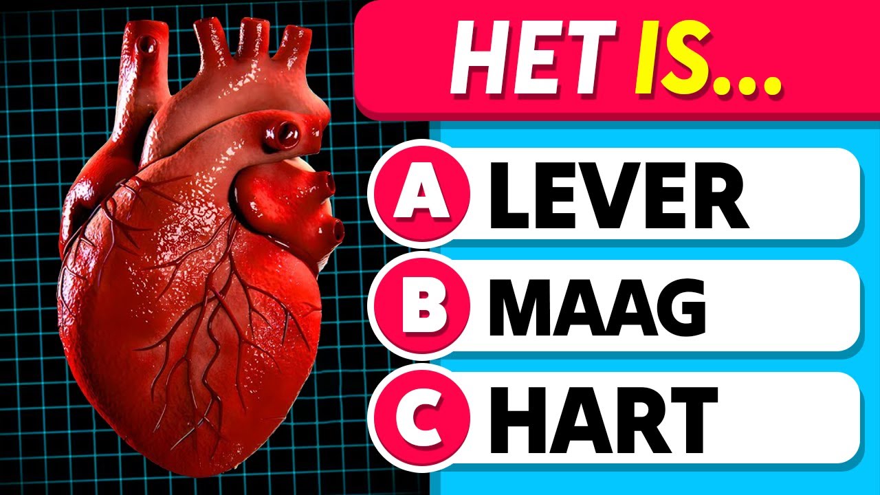 Hoe Goed Ken Jij het Menselijk Lichaam? | Algemene Kennis Quiz