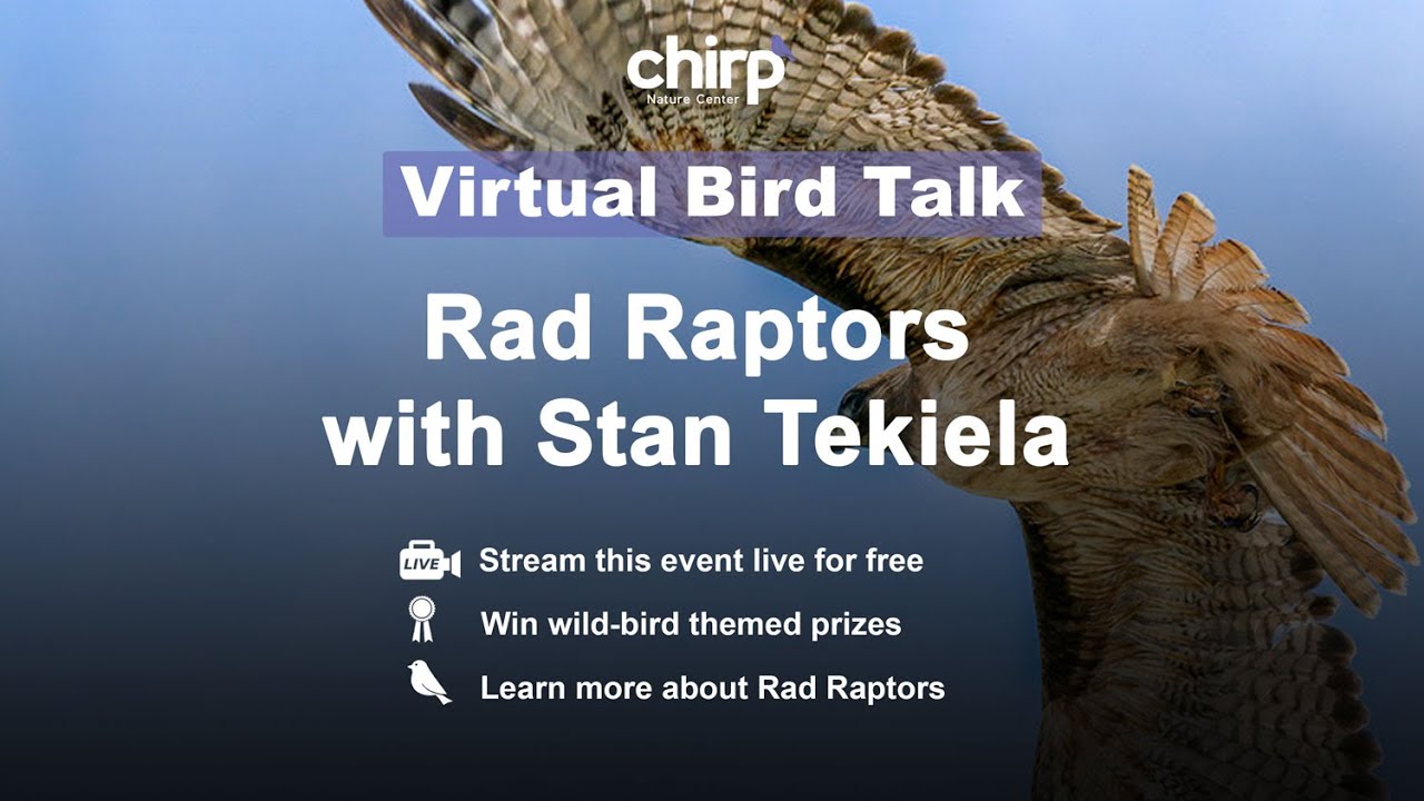 Stan Tekiela: Rad Raptors | Chirp Nature Center