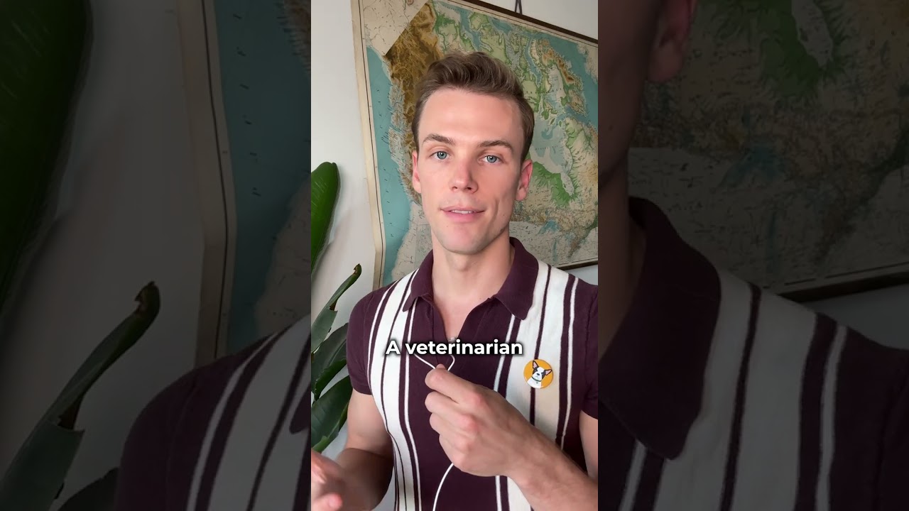 My Dog Ate Weed! What Should I Do? 🚨