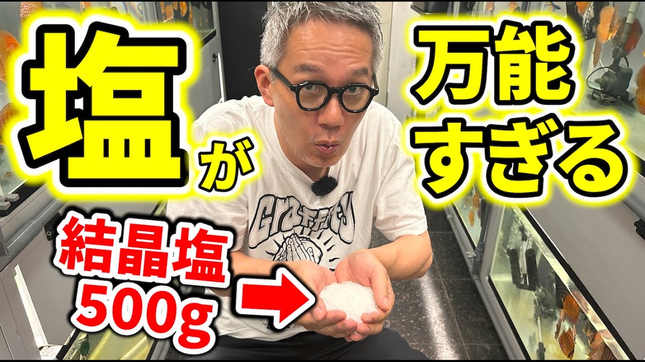 【塩浴】ディスカスの治療法といえばコレ！「塩」の使い方を店長がお伝えします！