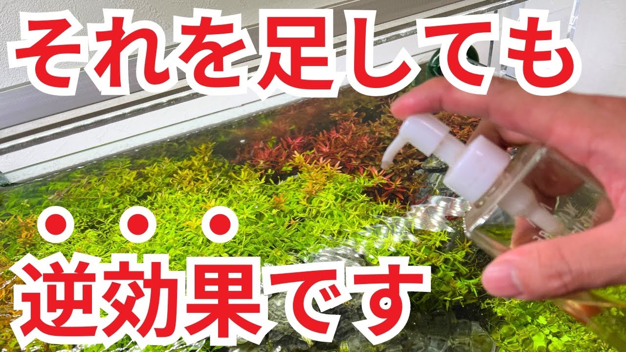 【視聴者にしか言いたくない】その水槽用品、意味ありますか