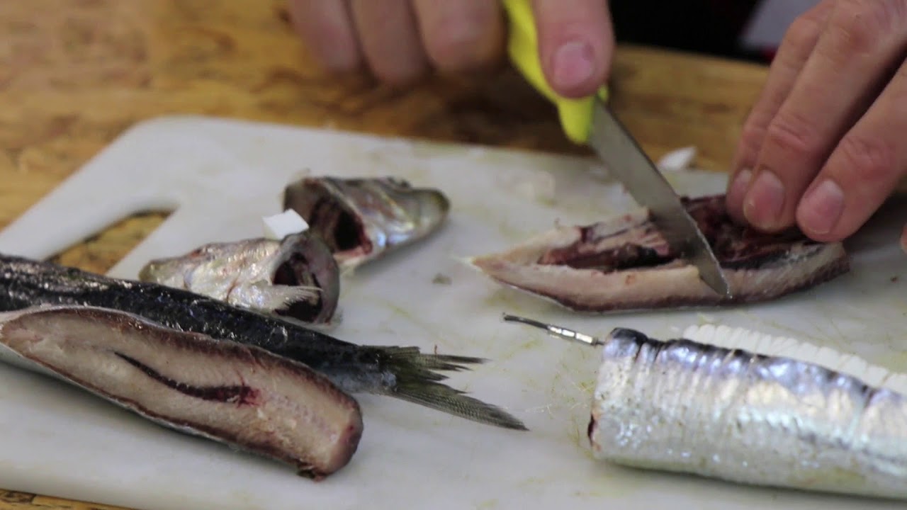 Deadly BIG FISH Bait for the SARDINE RUN | ASFN Baits & Traces