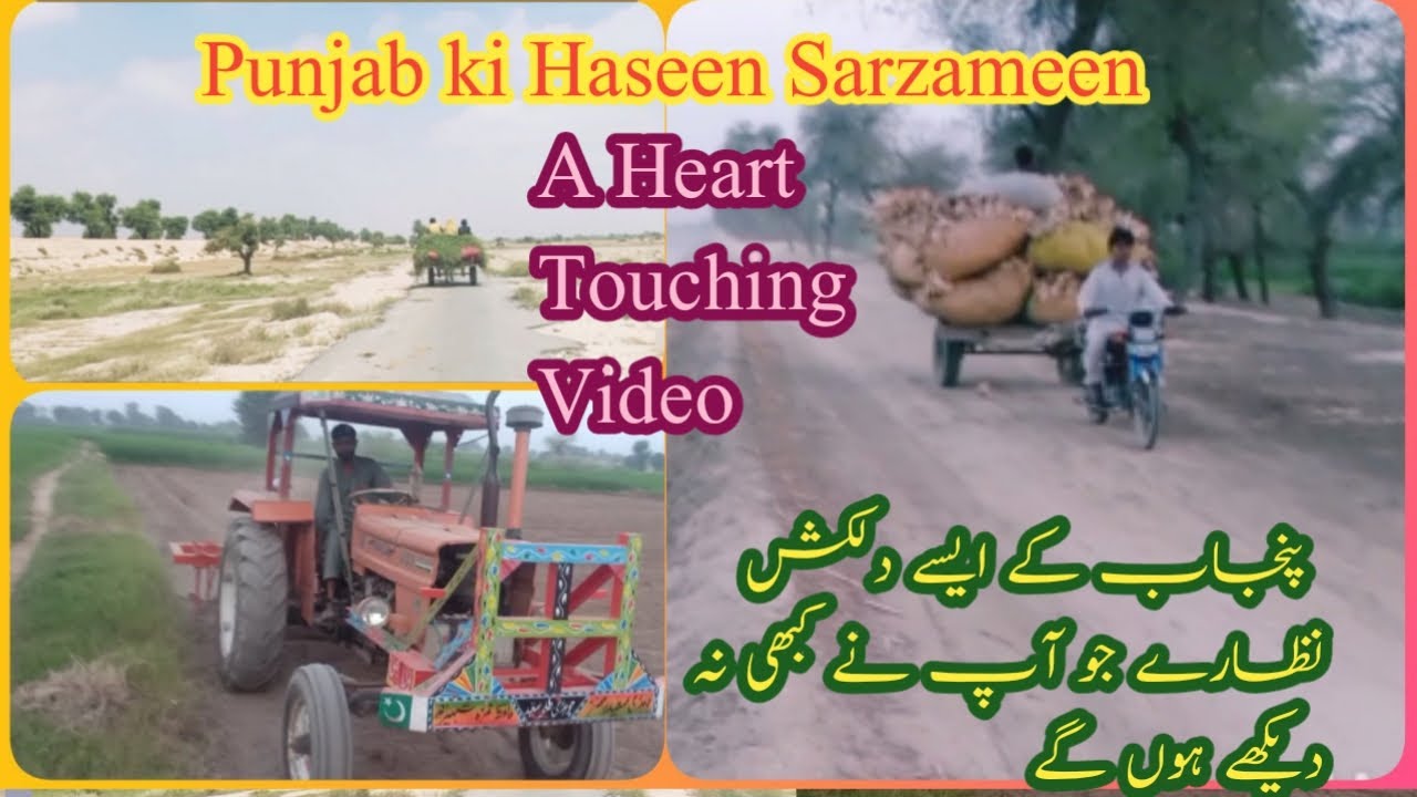 Punjab, Pakistan, South Punjab, Village Life, Village People Routine, Khubsurat Manzar, پنجاب