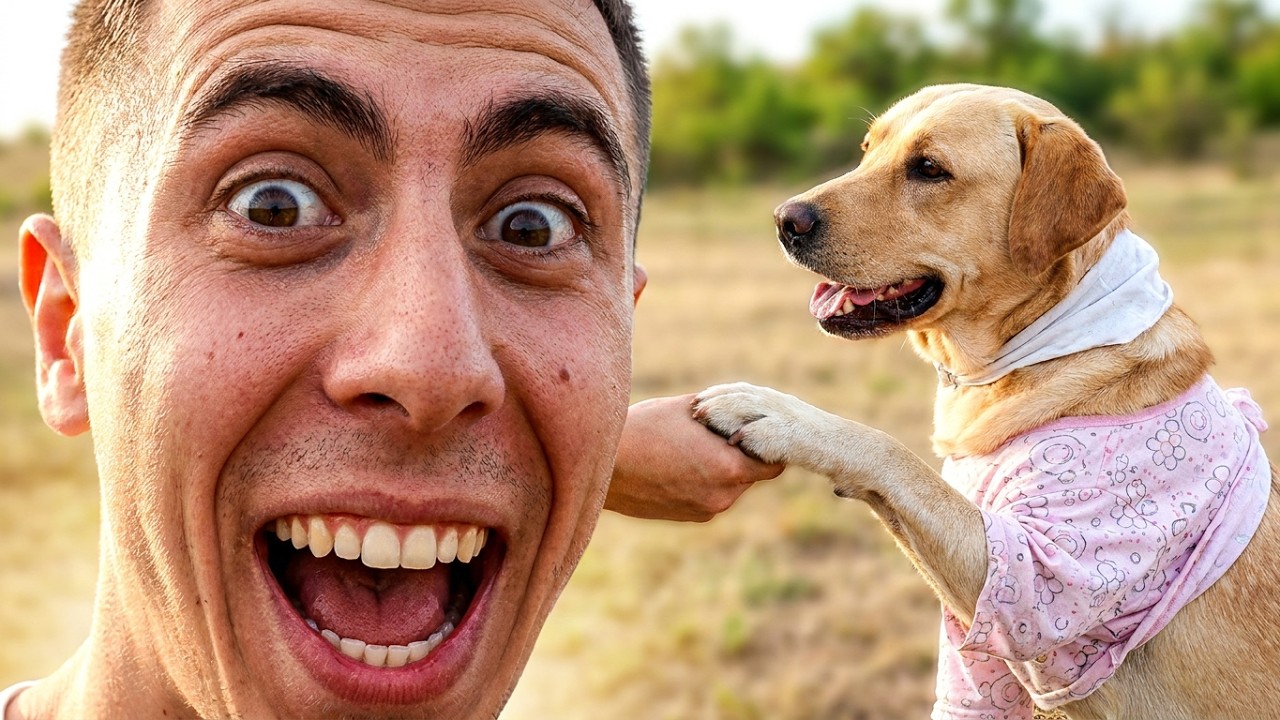 Top 3 Trucuri care iti fac Cainele sa te asculte instant !