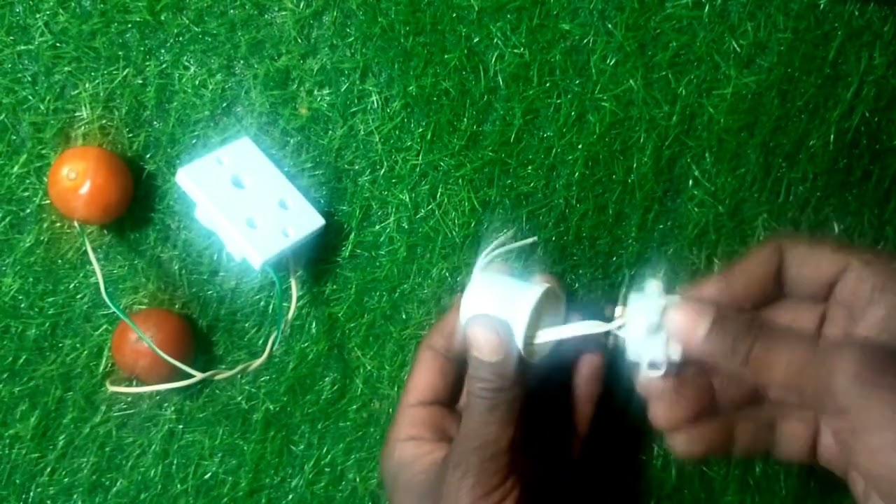 टमाटर से बल्ब कैसे जलाएं || How to light bulb with tomato 