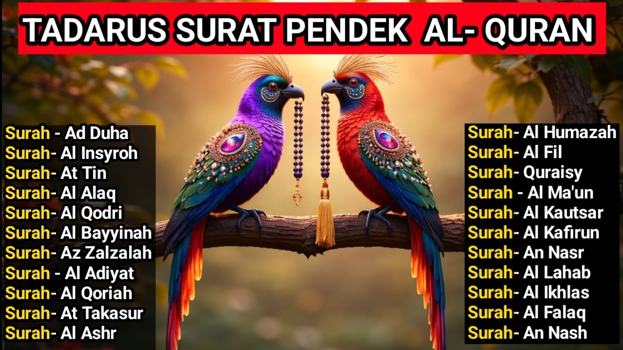 Tadarus Surat-Surat Pendek Juz Amma | Agar Mudah di Hafal, Bacaan Merdu Untuk Shalat