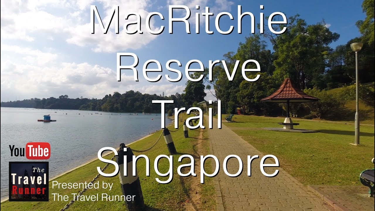 Singapore MacRitchie Nature Preserve Trails