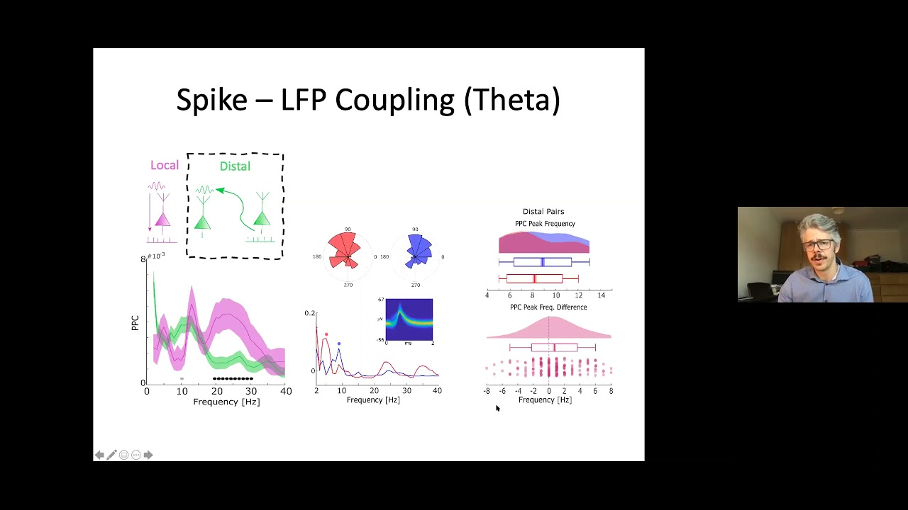 Simon Hanslmayr - How hippocampal oscillations give birth to a memory