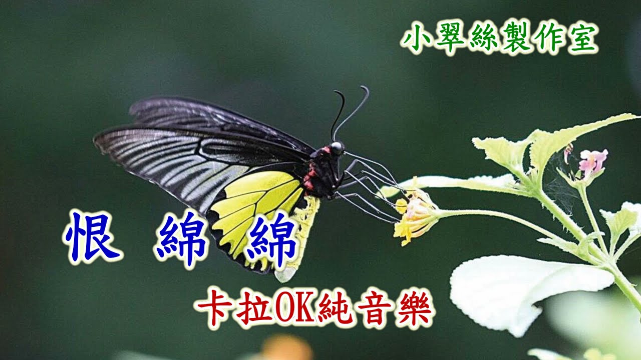 恨綿綿 - 卡拉OK純音樂