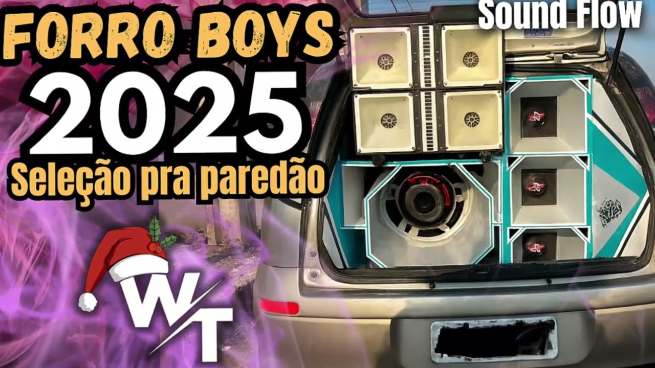 SELEÇÃO FORRÓ BOYS AS MELHORES PRA PAREDÃO ATUALIZADO REMIX EM ALTA QUALIDADE 2026 