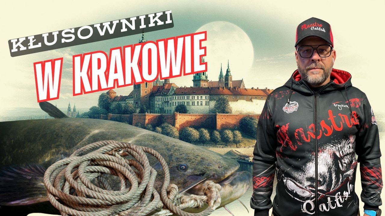 👉KŁUSOWNIKI W KRAKOWIE 👈