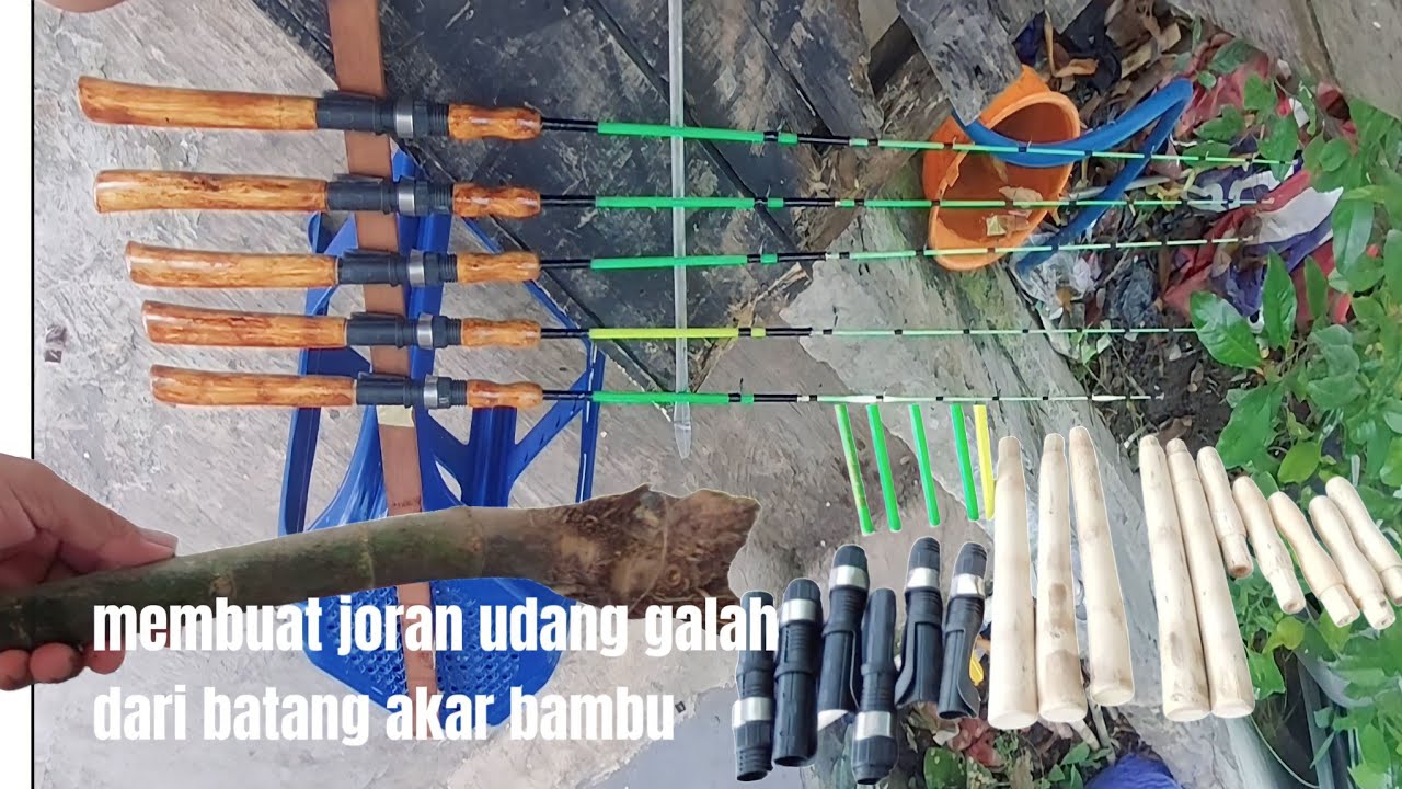 cara membuat joran pancing udang galah gagang joran dari batang bambu akar
