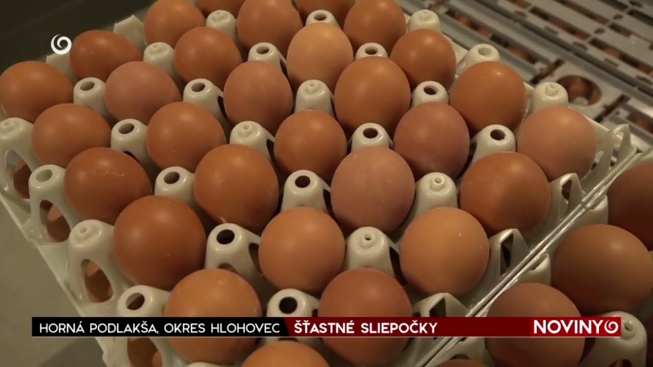 Pri Hlohovci otvorili farmu pre sliepky s voľným výbehom - Dolné Trhovište časť Podlakša