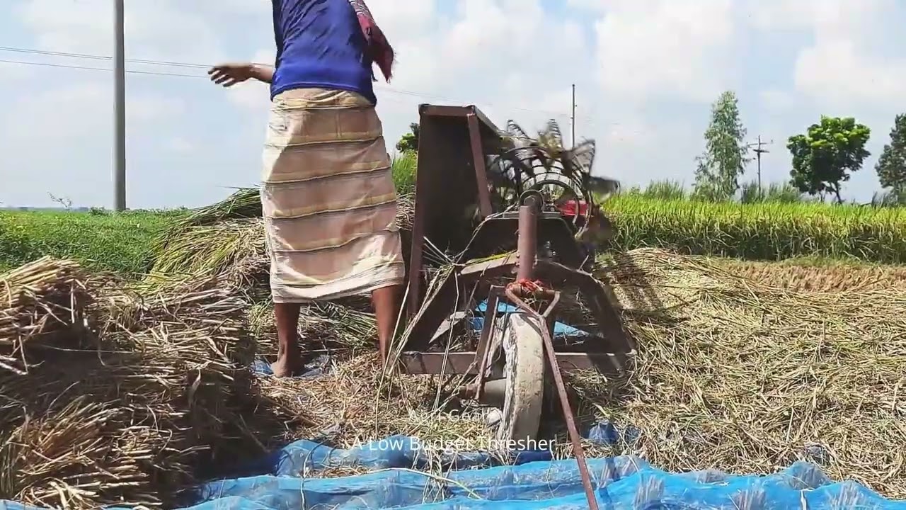 Threshing on a Shoestring: Maximizing Efficiency with a Low Budget Thresher