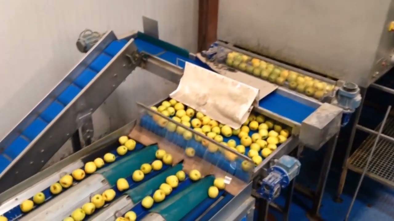 Apples Grading Line - Central Discharge