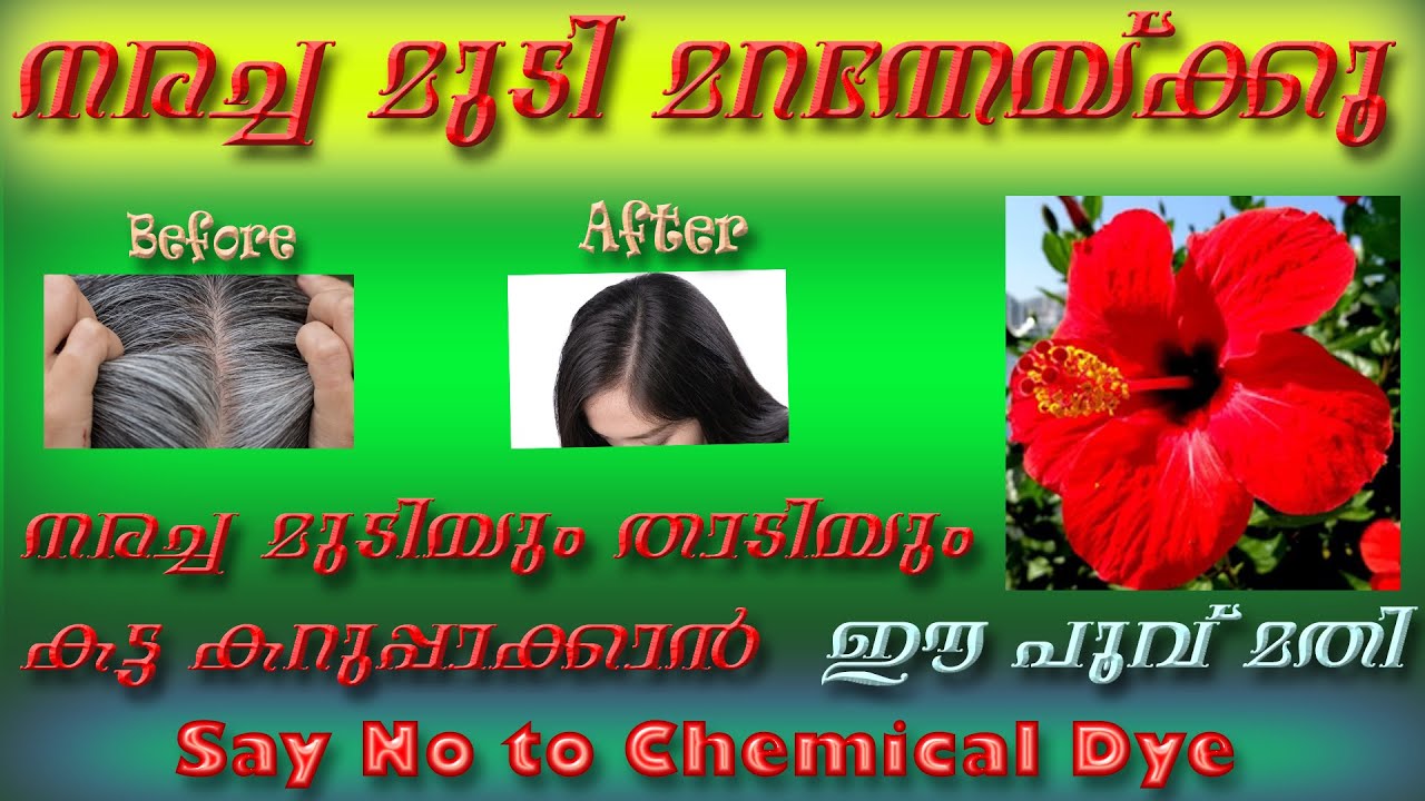 ഈ പൂവ് മതി ഏതു നരച്ച  മുടിയും കറുപ്പിക്കാൻ||Natural Hair Dye||Chemical Free Hair Dye||Hair Dye||Dye