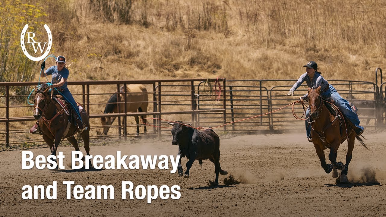 Alea Cunningham's Favorite Breakaway, Head, and Heel Ropes