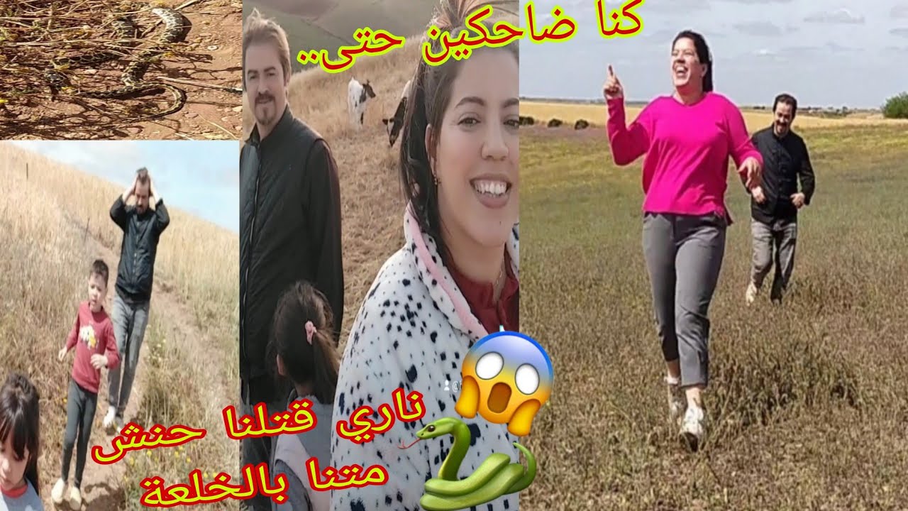 فيديو كلو مفاجئات🐍😲شكراً عائلة عمي❤️🙏😘فرحو بنا🥰 ديت وليداتي العروبية عجبنا الحال بزااف🤣