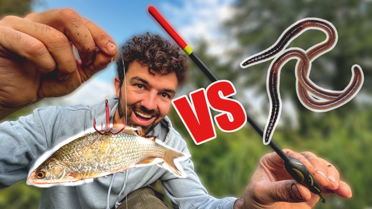 Köderfisch vs. Wurm 🤯 The River Vlog Folge 44