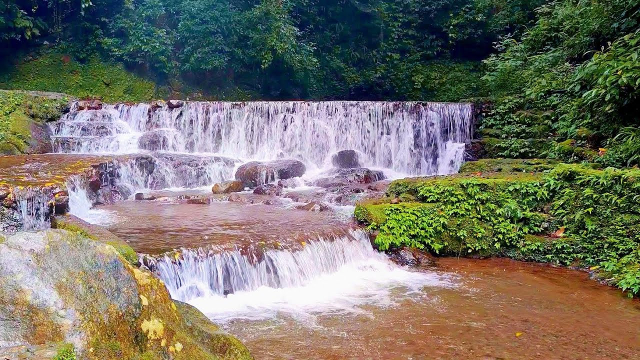 Sounds of Nature: Gentle Stream and Forest Birds Chirping, White Noise for Sleeping