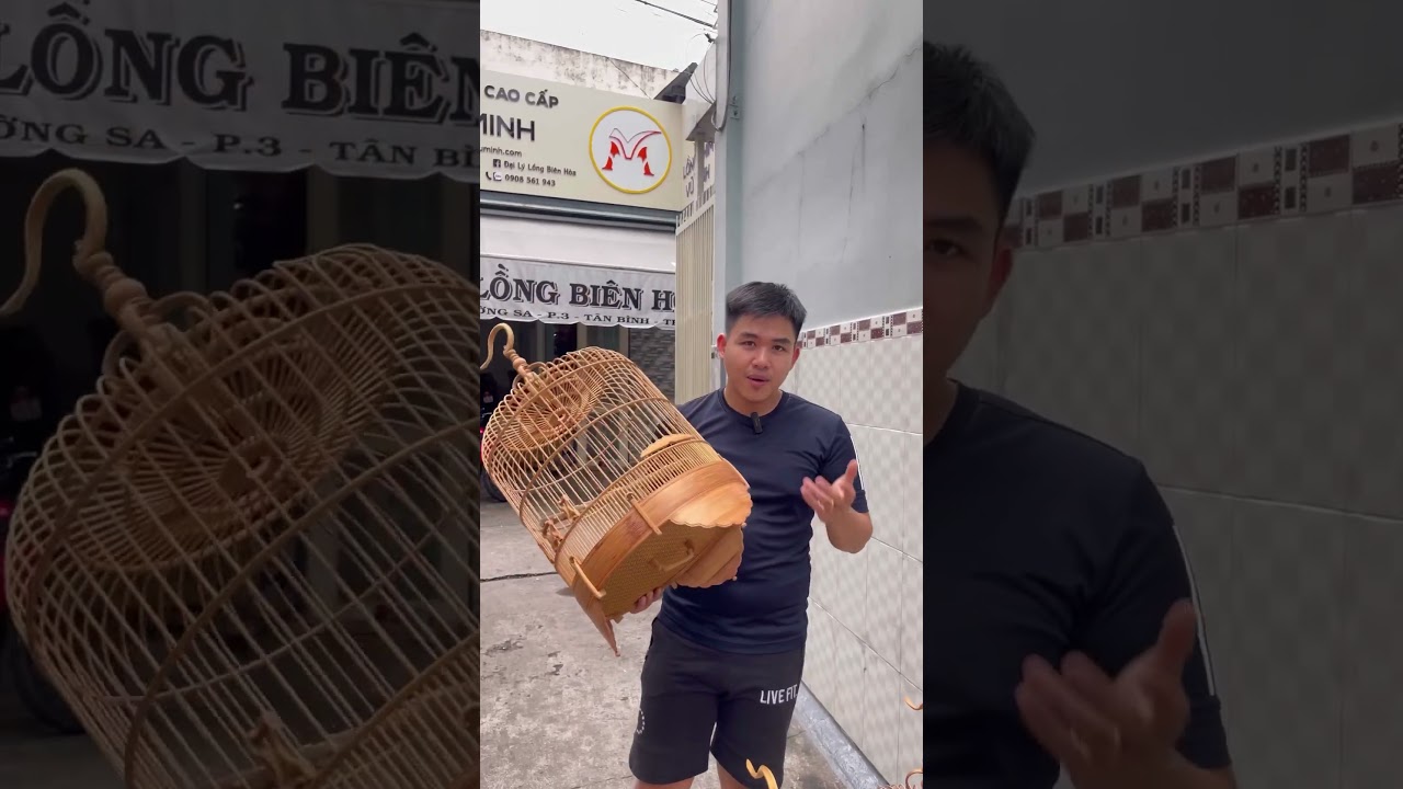 chim hoạ mi - lồng chim hoạ mi